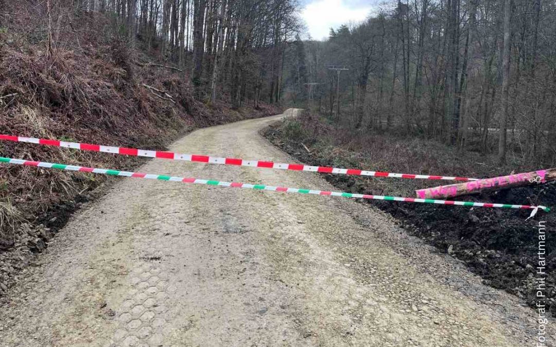 Wichtiges Update: Waldwegsanierung in Waldbröl macht gute Fortschritte!